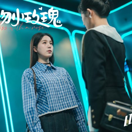 Ta Wen Xiao Mei Gui