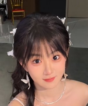 Feng Yi Xin