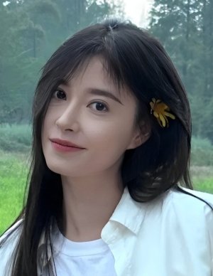 Han Qi