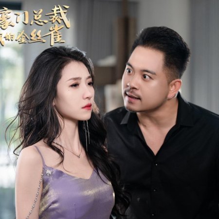 Ding Ji Hao Men Zong Cai Cheng Le Wo De Jin Si Que