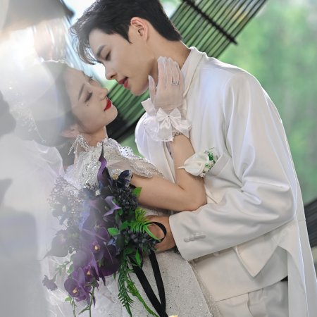 Ding Ji Hao Men Zong Cai Cheng Le Wo De Jin Si Que
