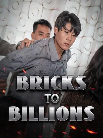 Bricks to Billions cover