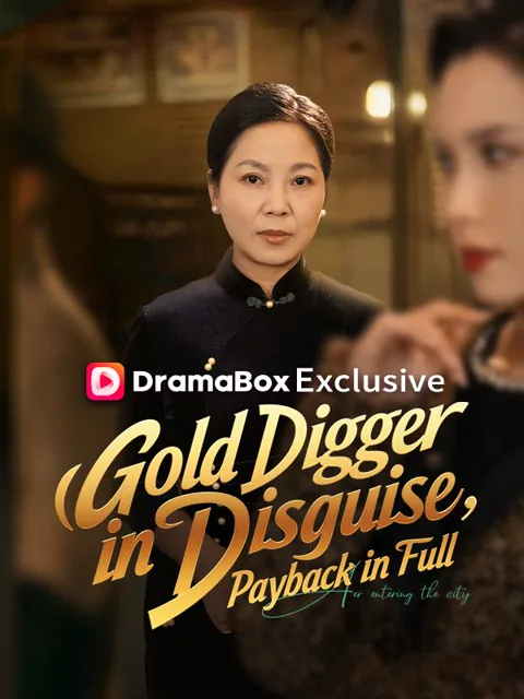 Gold Digger in Disguise, Payback in Full cover