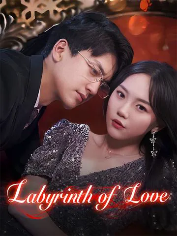 Labyrinth of Love cover