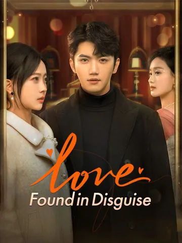 Love Found in Disguise cover