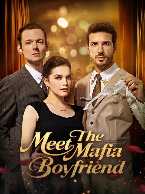 Meet The Mafia Boyfriend cover