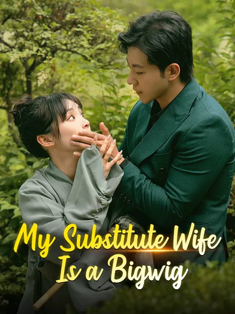 My Substitute Wife Is a Bigwig