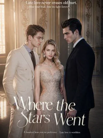 Where the Stars Went cover