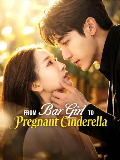 From Bar Girl to Pregnant Cinderella cover