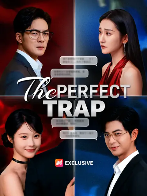 The Perfect Trap cover