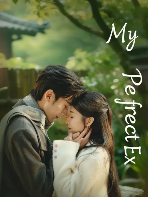 My Perfect Ex cover