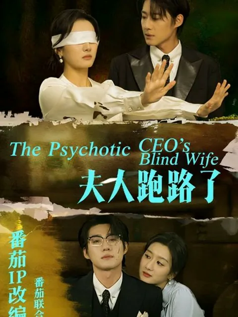 The Psychotic CEO's Blind Wife cover
