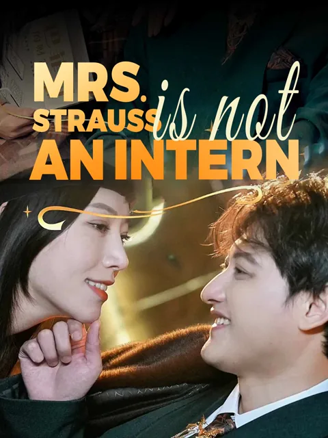 Mrs. Strauss Is Not An Intern cover