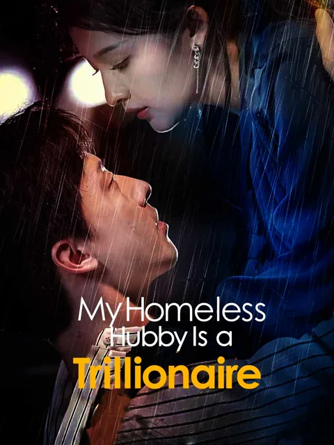 My Homeless Hubby Is a Trillionaire cover