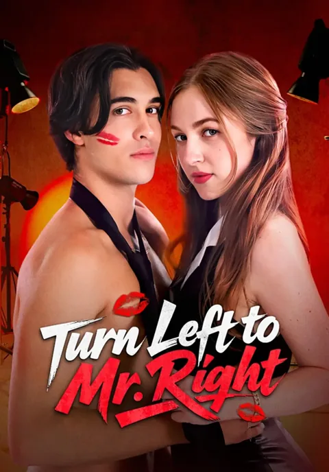 Turn Left to Mr.Right cover