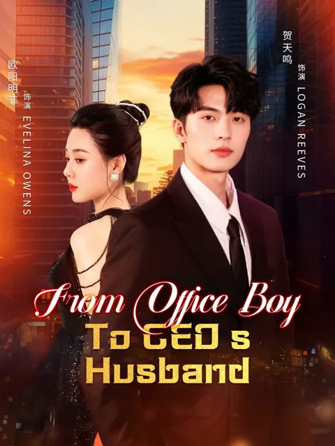 From Office Boy to CEO's Husband cover