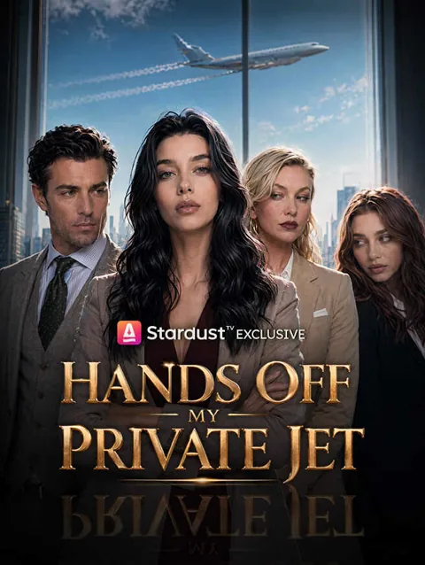 Hands Off My Private Jet cover